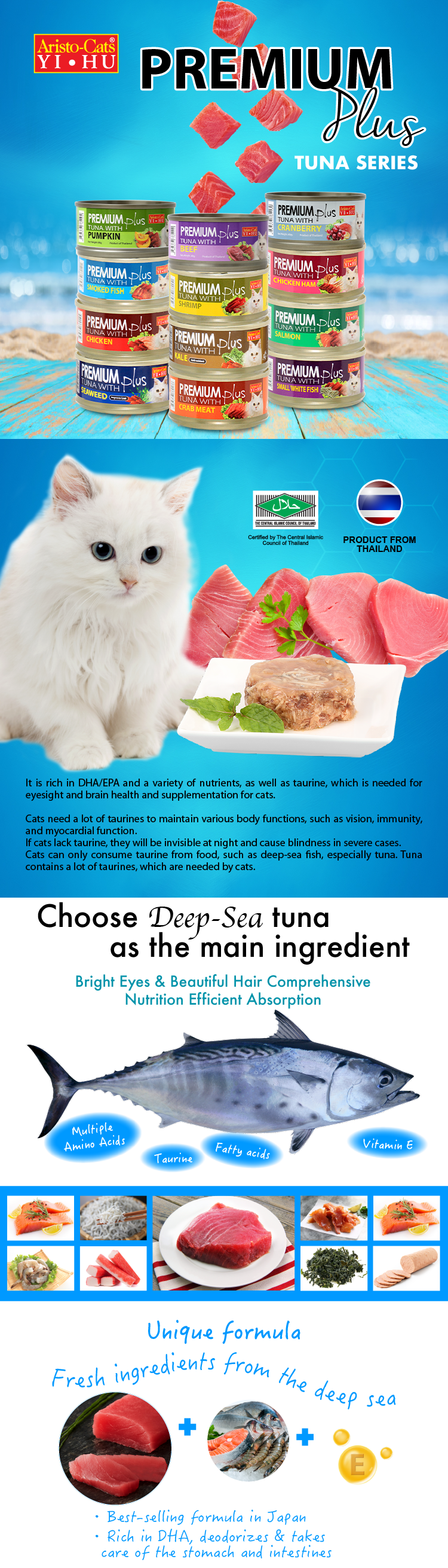 AC Tuna Web Post-E-01.png